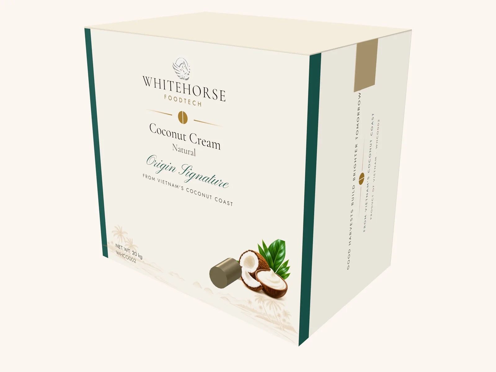 Packaging concept render: coconut cream in a 20 kg bag-in-box carton