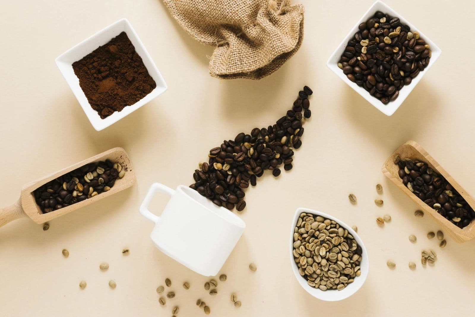 Green and roasted coffee beans with ground coffee in white dishes and wooden scoops