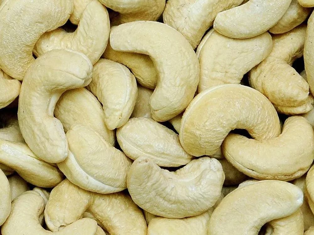 Whole cashew kernels, close up